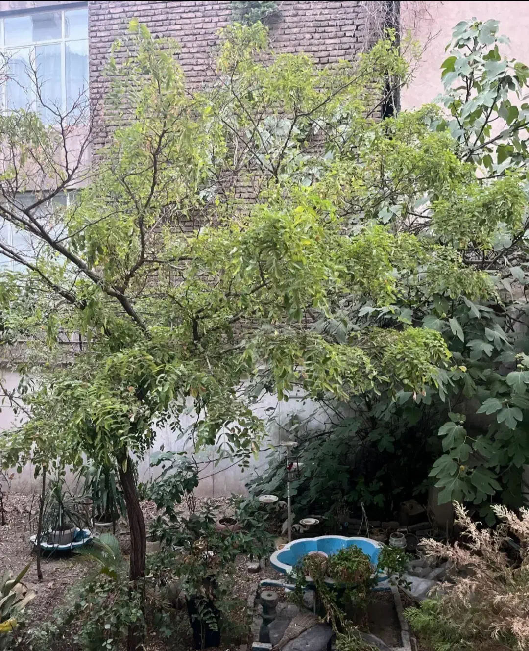 زرتشت غربی۱۵۰متر/۳خواب/۱۰۰متر حیاط اختصاصی|فروش آپارتمان|تهران, بلوار کشاورز|دیوار