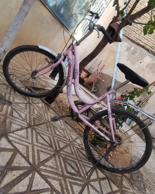 دوچرخه دخترانه|دوچرخه، اسکیت، اسکوتر|قوچان, |دیوار