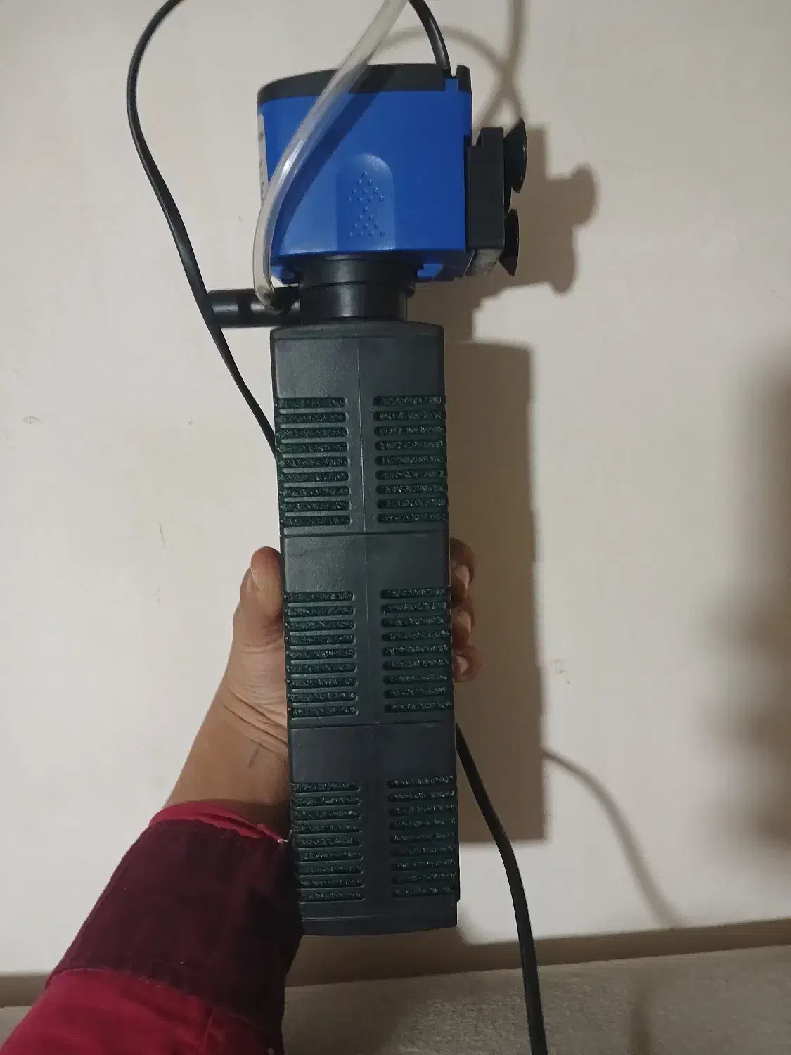 اکواریوم فروش فوری|ماهی|قائن, |دیوار