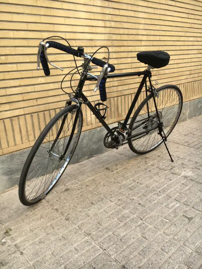 دوچرخه کورسی پلیکان|دوچرخه، اسکیت، اسکوتر|تهران, المهدی|دیوار