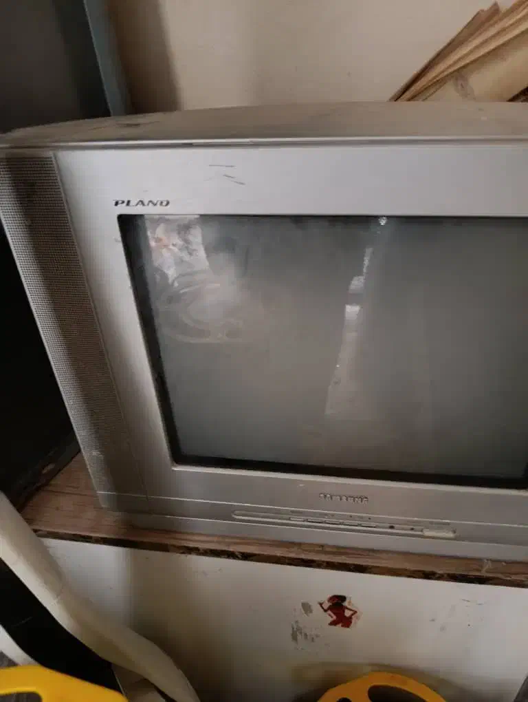 تلوزیون و لوستر|تلویزیون و پروژکتور|پردیس, فاز ۸|دیوار