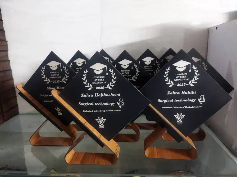 تندیس پلکسی اقتصادی|مجسمه، تندیس، ماکت|تهران, مولوی|دیوار