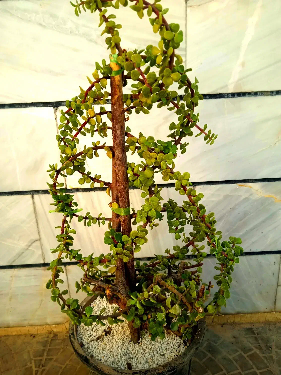 خانه وملک اجاره ای|اجارهٔ آپارتمان|بروجرد, |دیوار