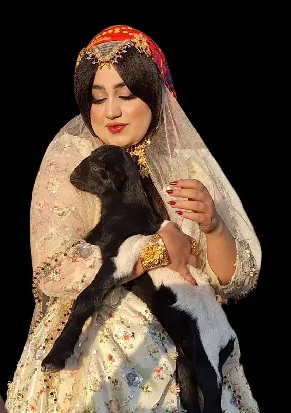 مدل میکاپ رایگان|خدمات آرایشگری و زیبایی|دوگنبدان, |دیوار