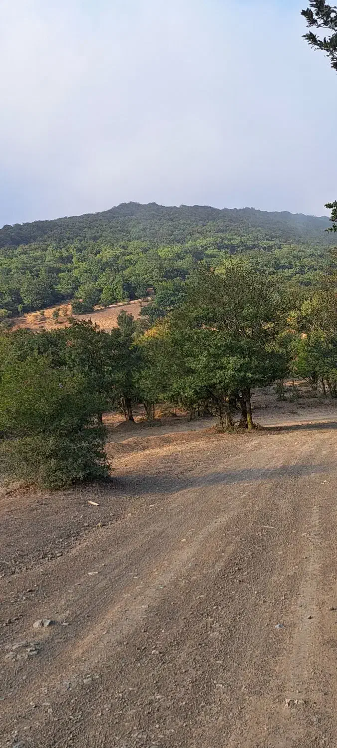 زمین برای ساخت ویلا در منطقه ای توریستی|فروش زمین و ملک کلنگی|منجیل, |دیوار