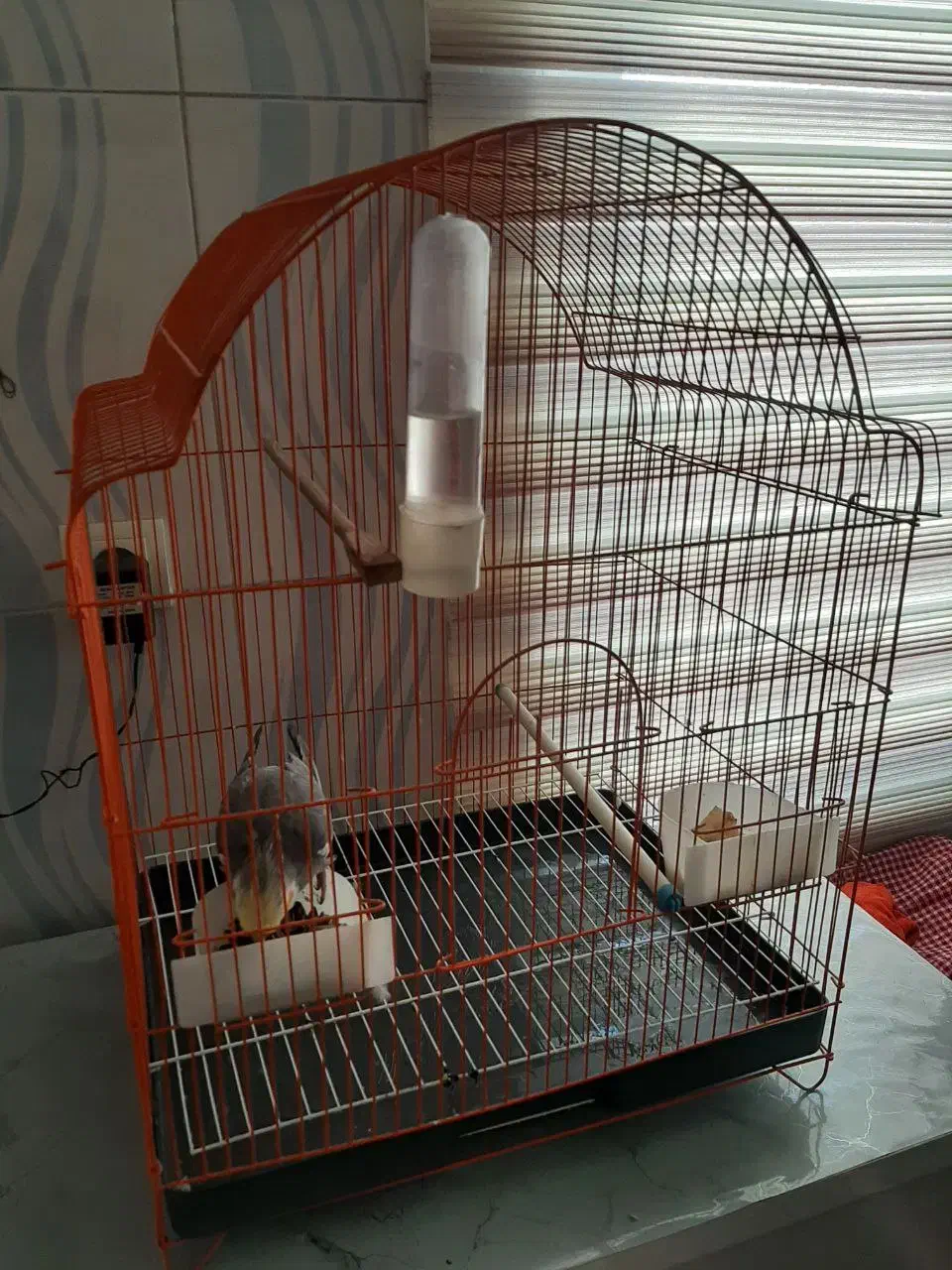 قفس|لوازم جانبی حیوانات|خوی, |دیوار