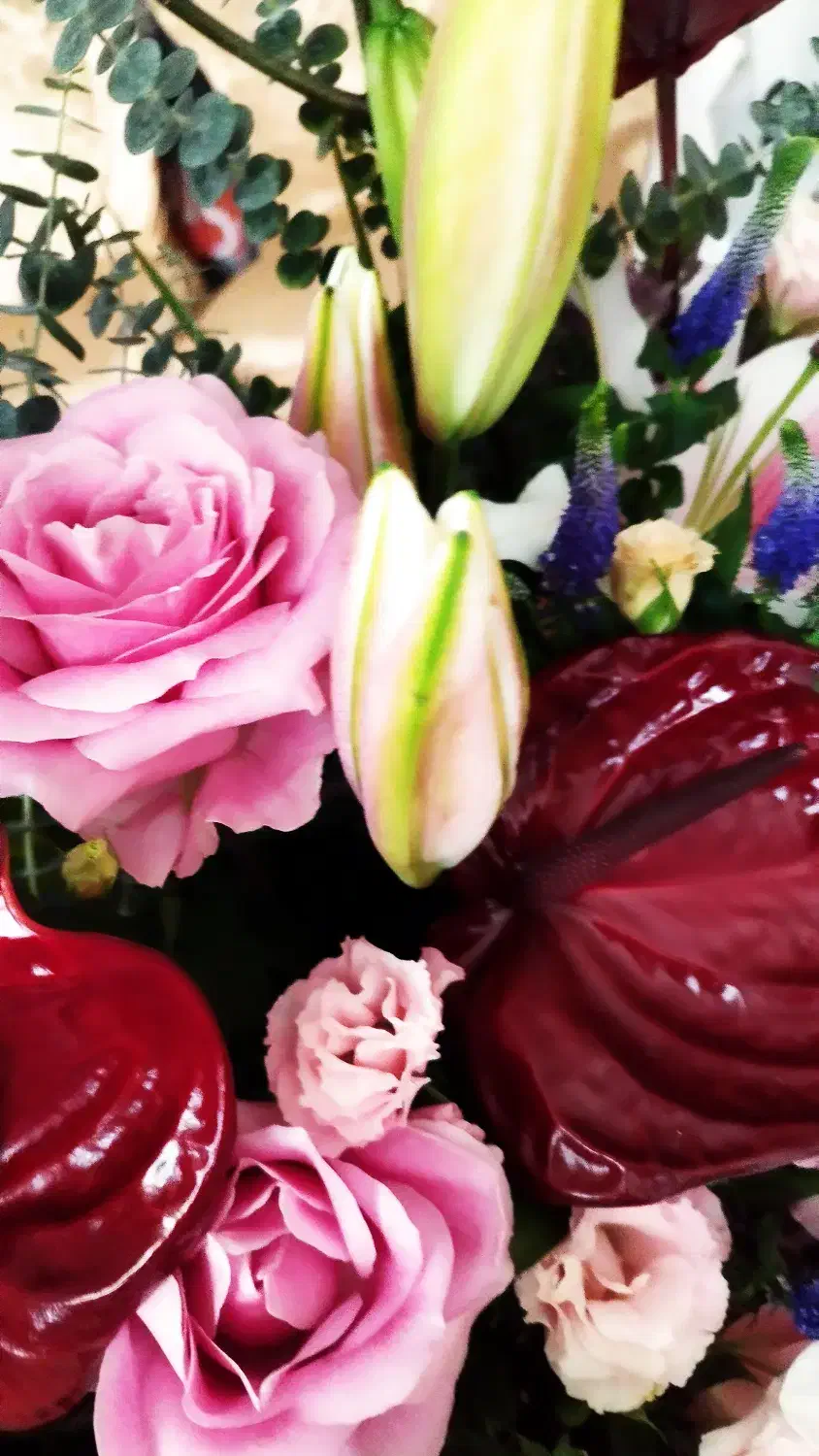 سبد گل|گل و گیاه طبیعی|تهران, شهرآرا|دیوار