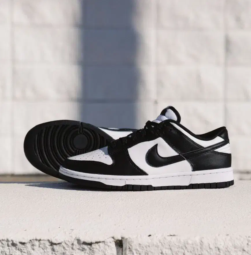 کفش نایک مردانه وزنانه|کیف، کفش، کمربند|مشهد, شهرک مهر آباد|دیوار