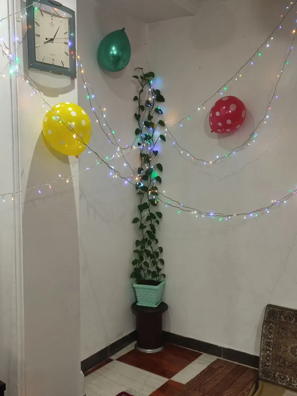 گل پتوس طبیعی|گل و گیاه طبیعی|صباشهر, |دیوار