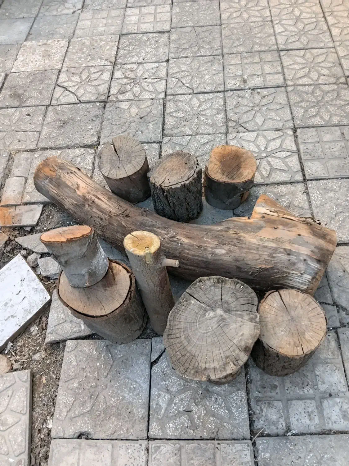 تنه درخت|صنایع دستی و سایر لوازم تزئینی|کرج, ساسانی (قلمستان)|دیوار