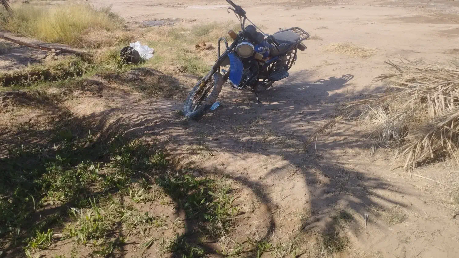 فروشی|موتورسیکلت|ریگان, |دیوار