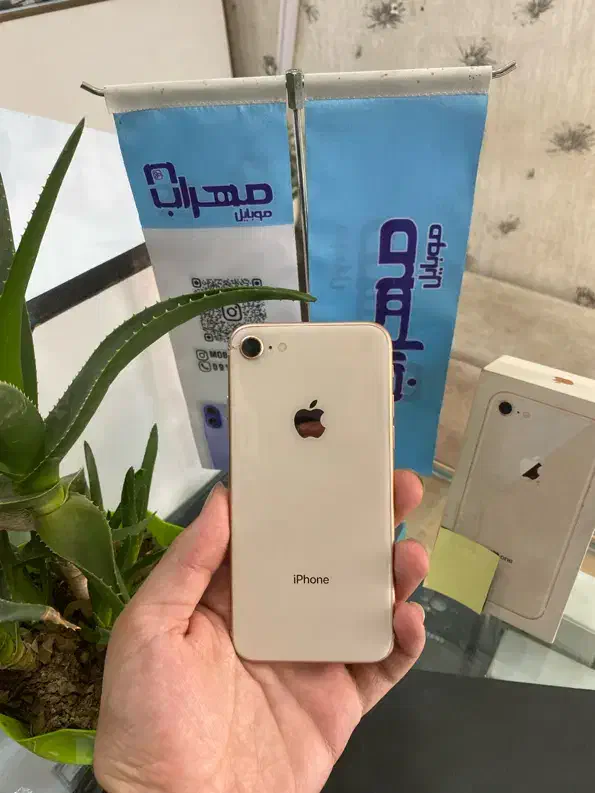 اپل iPhone 8 با حافظهٔ ۶۴ گیگابایت|موبایل|پاکدشت, پاکدشت (مامازند)|دیوار