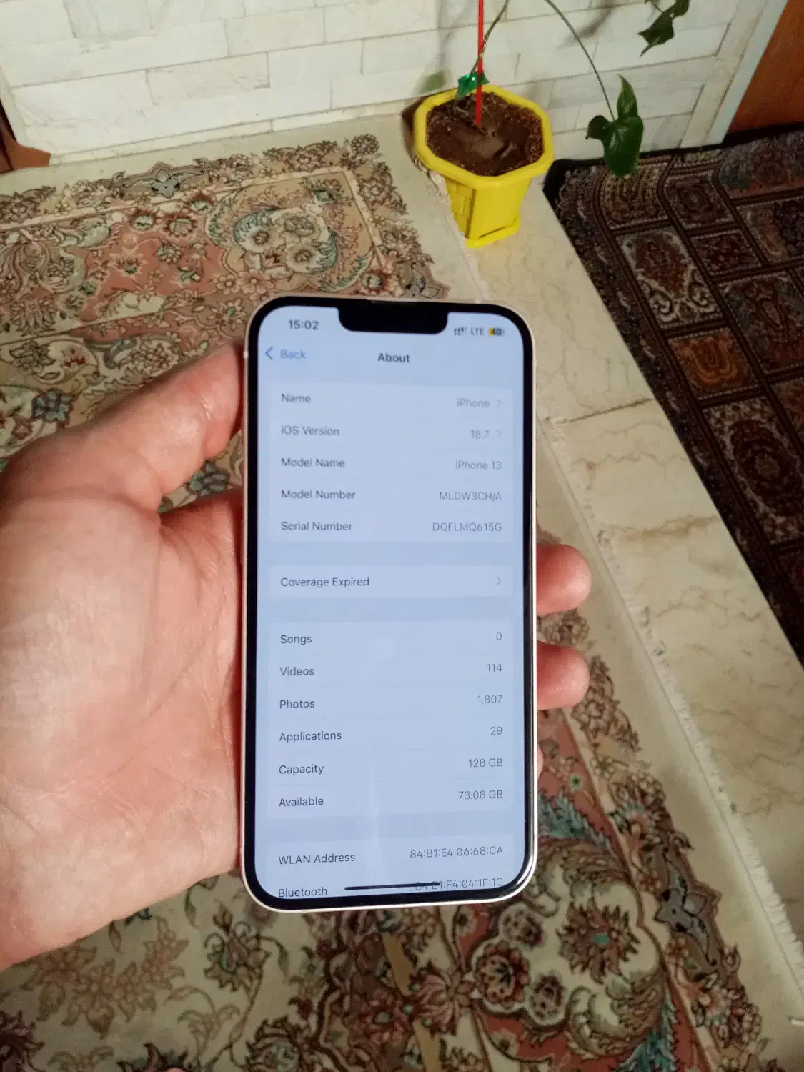 ایفون ۱۳ نرمال دوسیم|موبایل|تربت‌حیدریه, بی بی حسنیه|دیوار