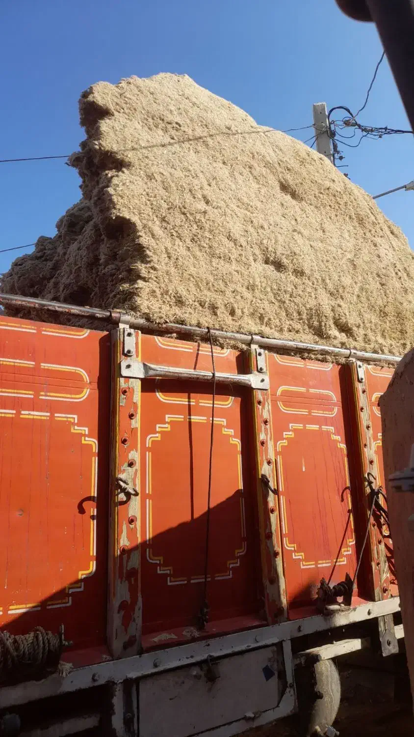 کاه نیشکر|حیوانات مزرعه|گنبد کاووس, |دیوار