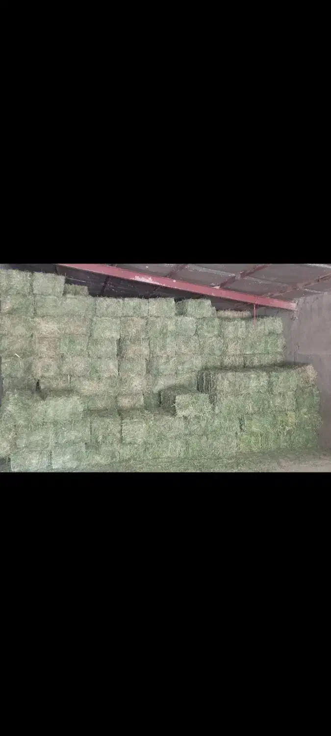 یونجه (پرس یونجه)|عمده‌فروشی|بیرانوند, |دیوار