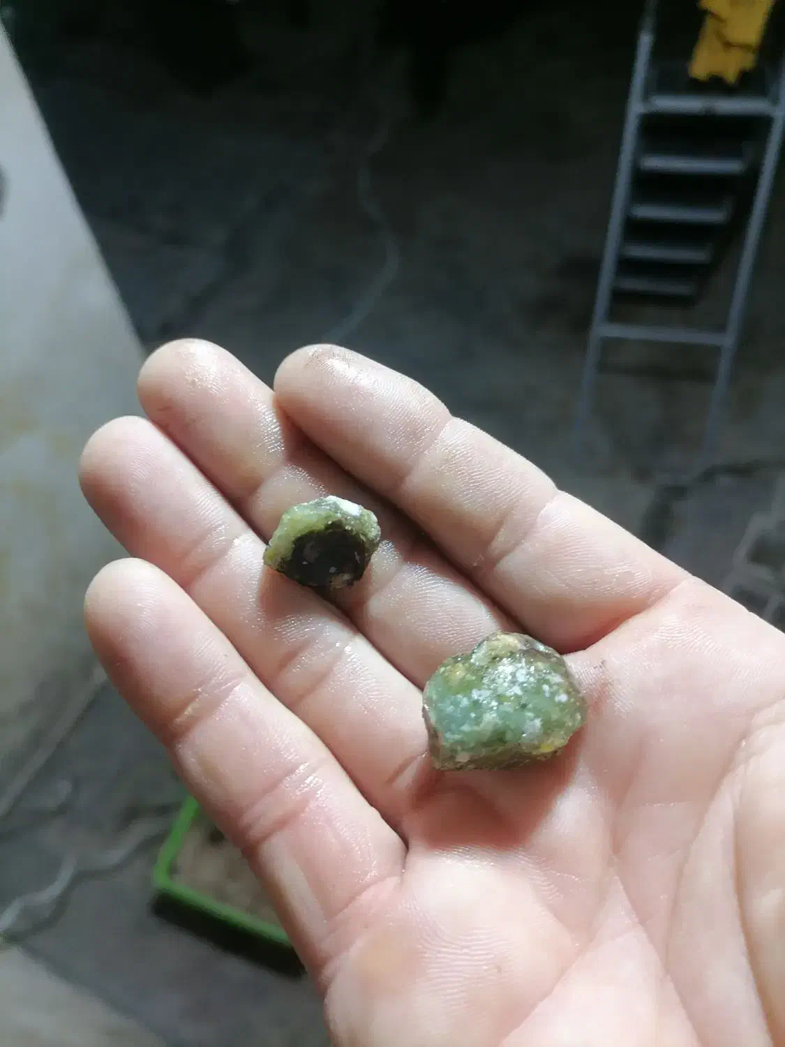 عتیقه کلکسونی|جواهرات|گنبد کاووس, |دیوار