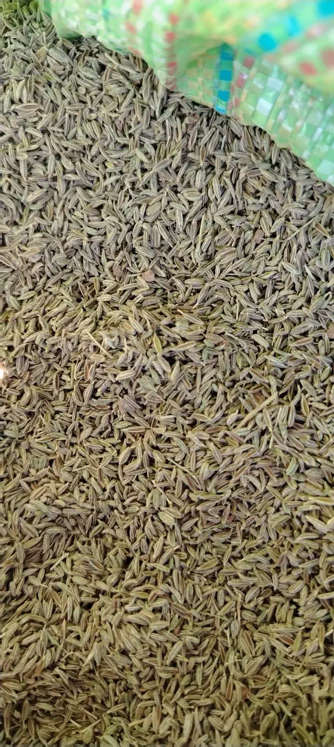 فروش زیره سبز|عمده‌فروشی|نیشابور, شهرک اندیشه|دیوار