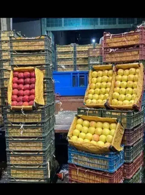 توزیع پخش میوه و تره بار با کمترین قیمت|خوردنی و آشامیدنی|تهران, میدان میوه و ترهبار مرکزی|دیوار