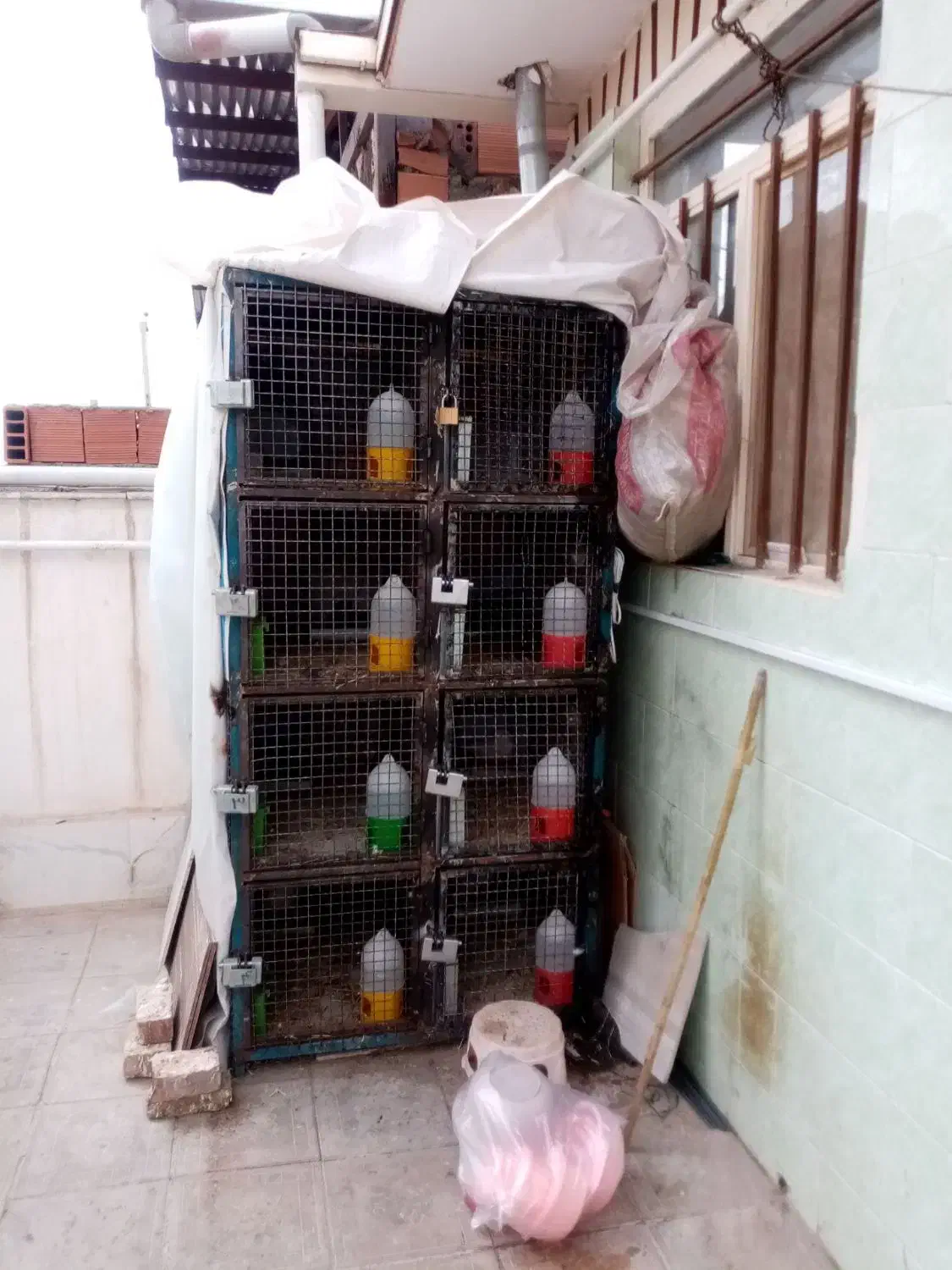 قفس کفتری|لوازم جانبی حیوانات|کرمان, |دیوار