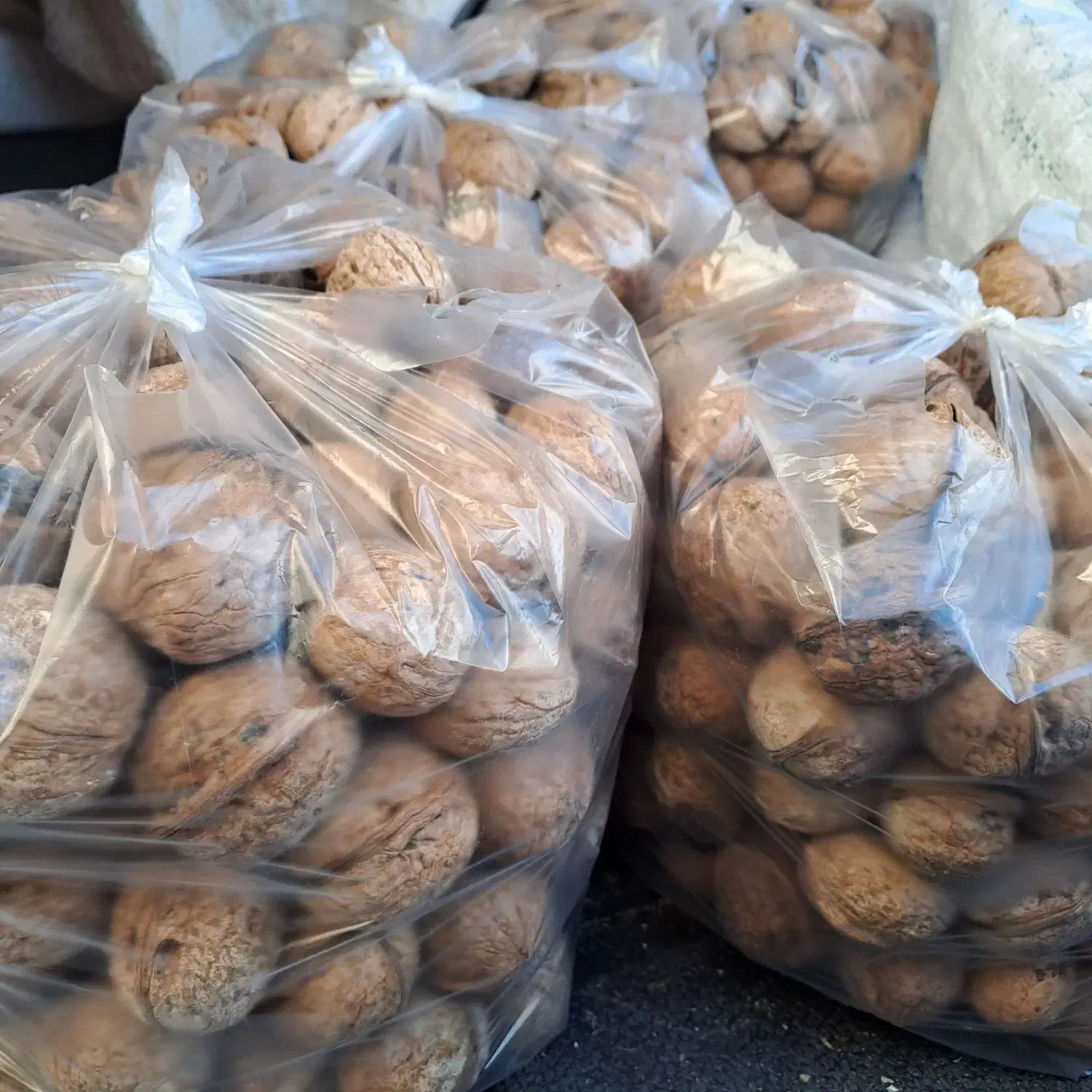 گردو|خوردنی و آشامیدنی|قائن, |دیوار