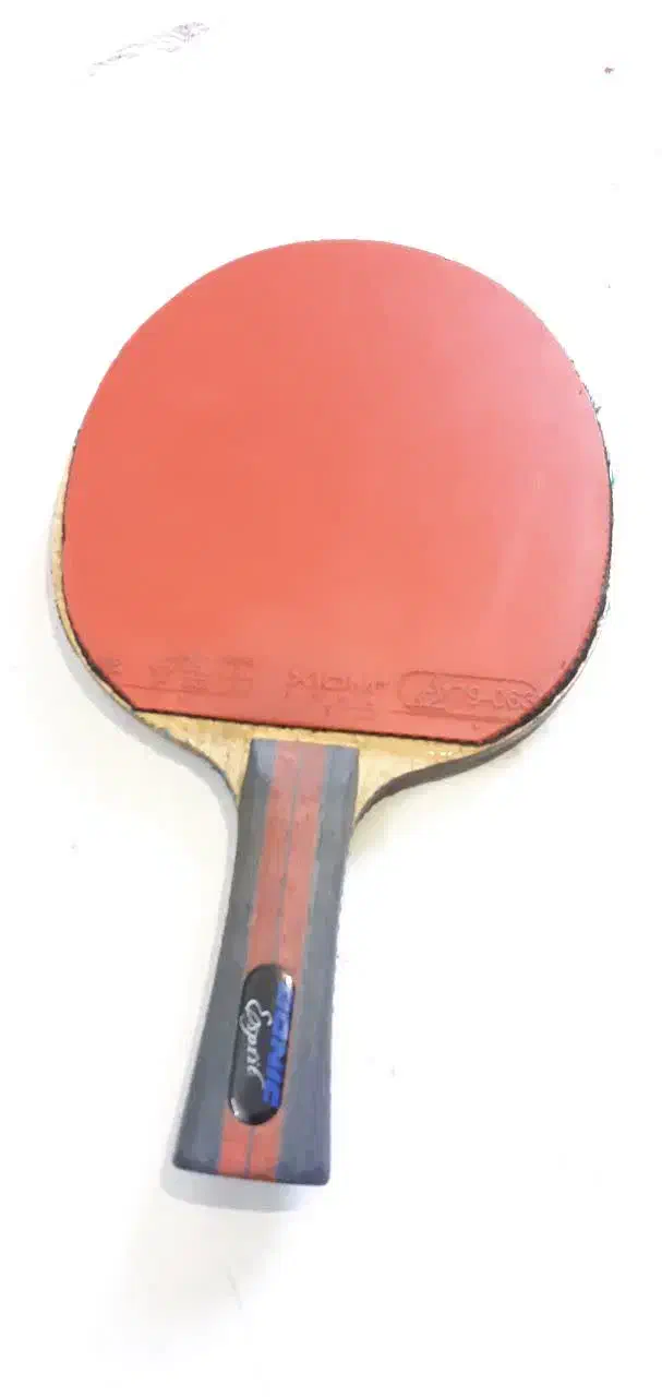 راکت پینگ پنگ دونیک اسپریت با رویه ژیوم|ورزشهای توپی|مشهد, امامیه (شهرک غرب)|دیوار