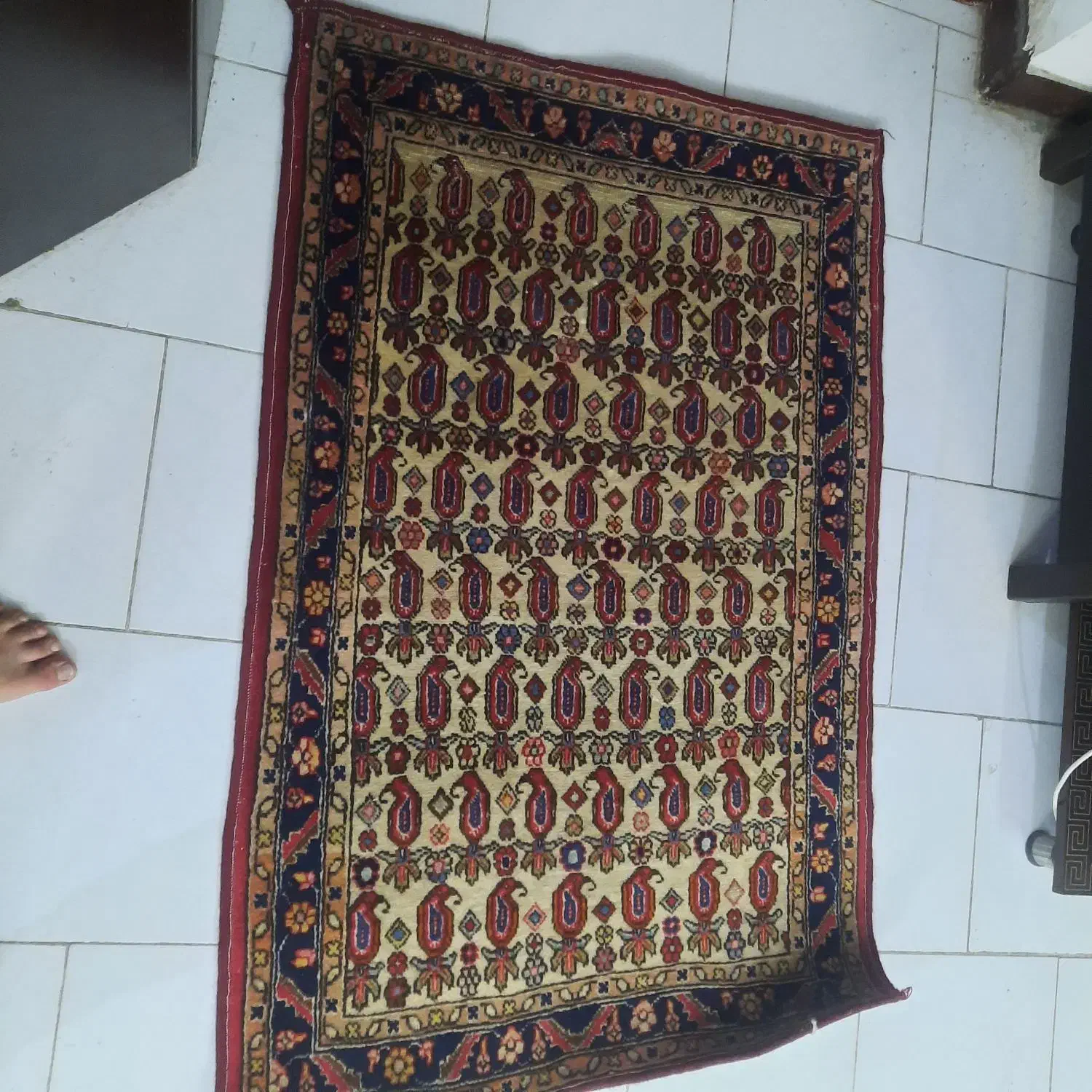 فرش دستباف عتیقه تمیز|فرش|کرج, ساماندهی|دیوار