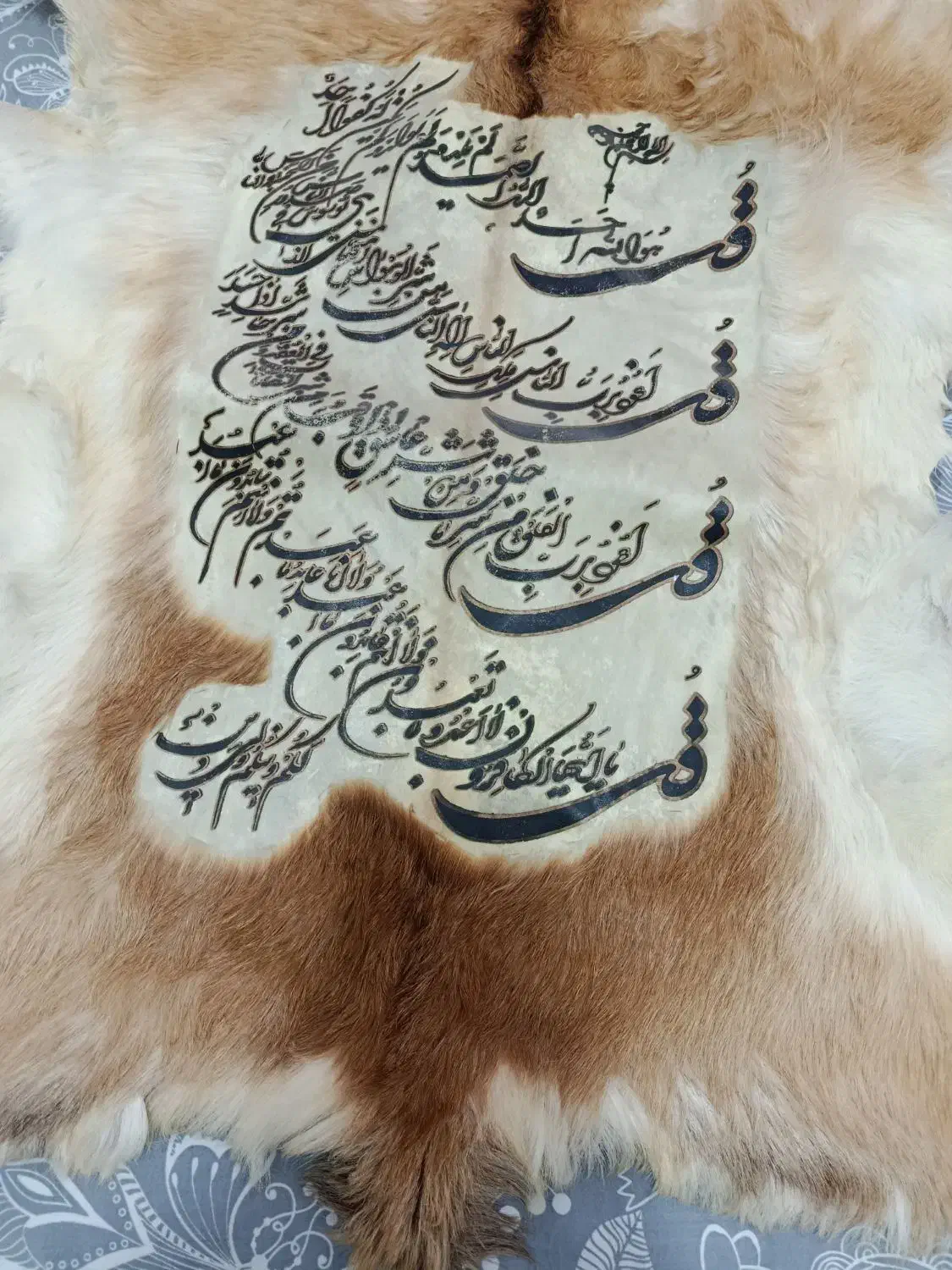 دیوار کوب پوست|تابلو، نقاشی، عکس|ساوه, |دیوار