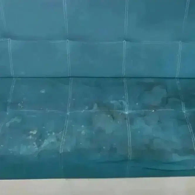 شستشوی انواع مبل و فرش الماس|خدمات نظافت|مینودشت, |دیوار