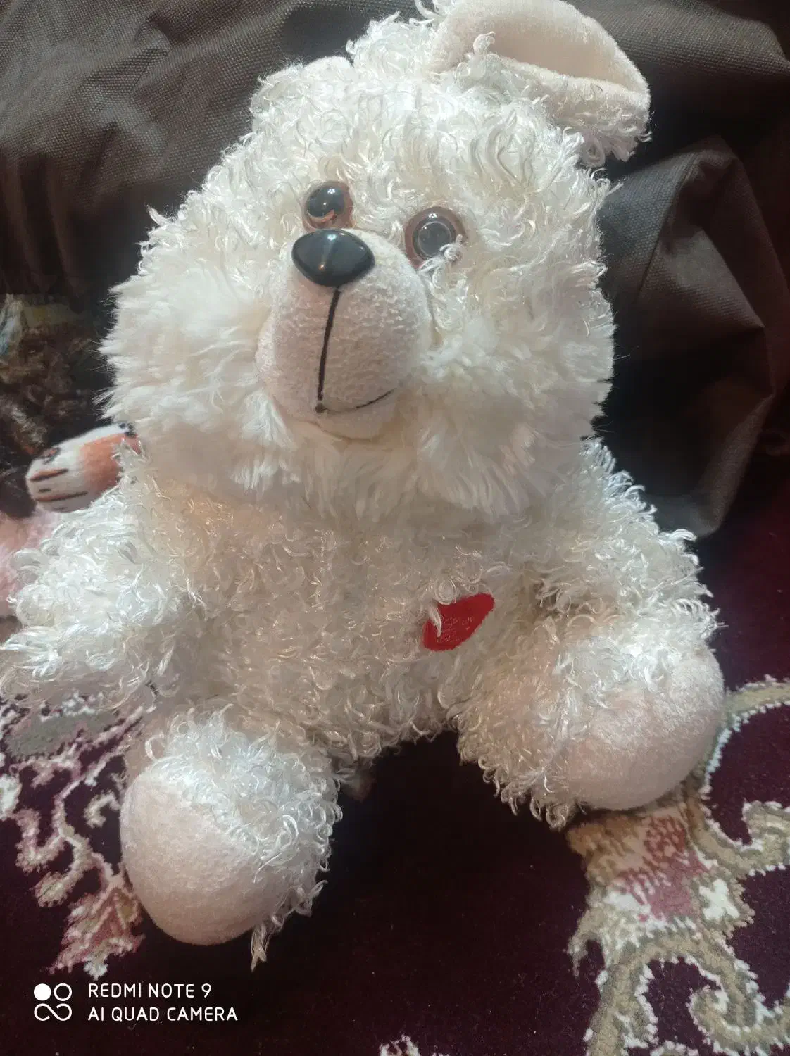 عروسک|اسباب‌‌بازی|رشت, تازه آباد|دیوار