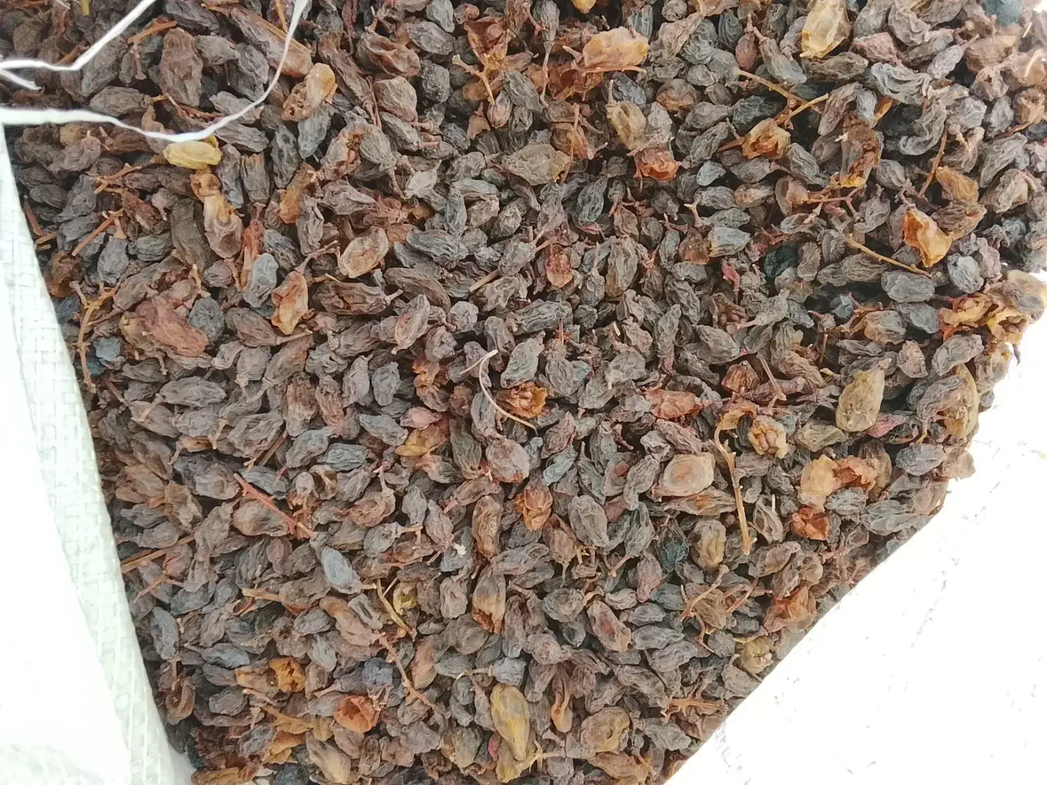 کشمش|خوردنی و آشامیدنی|کوار, |دیوار