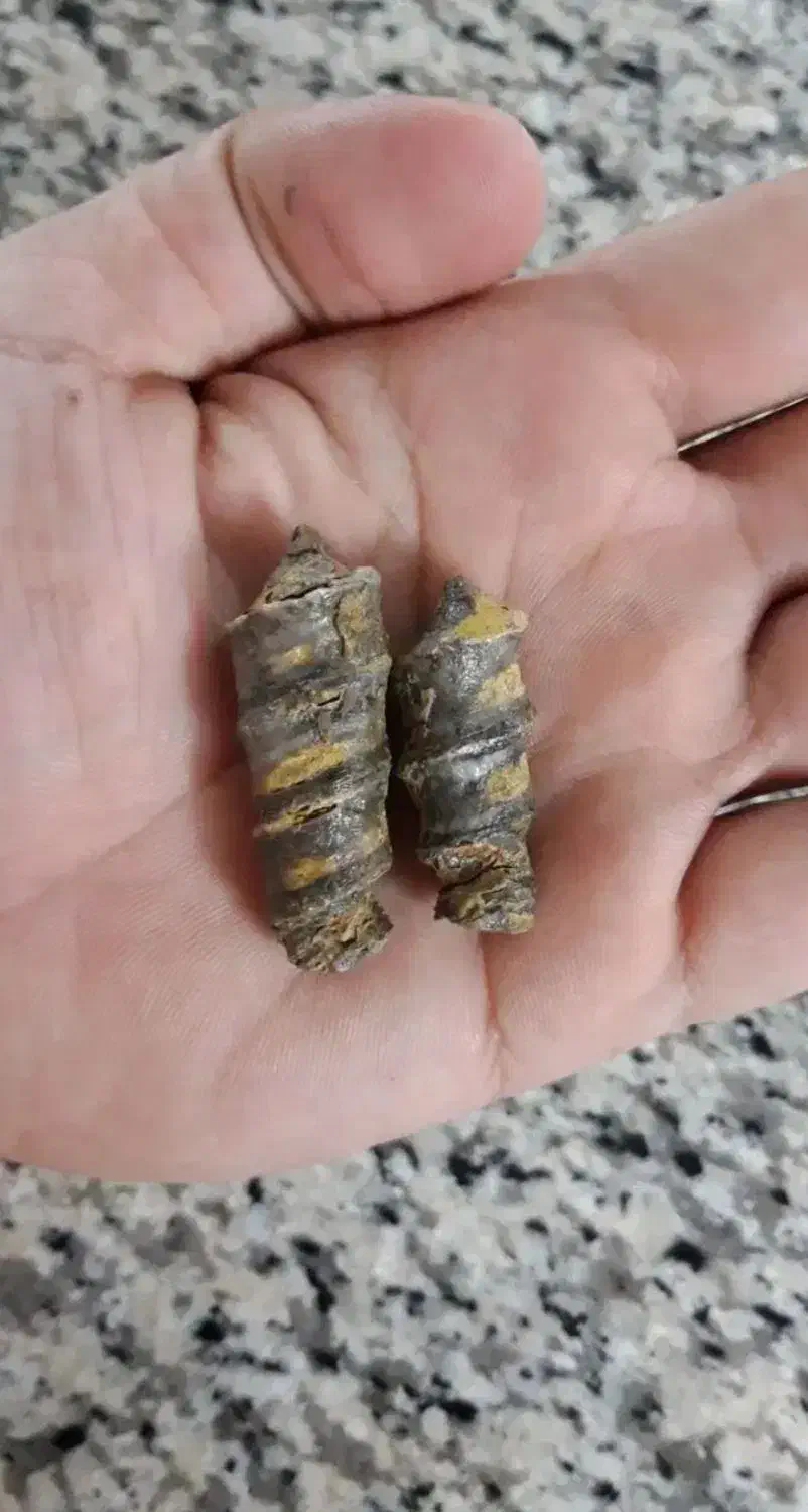 مهره خاص|جواهرات|کرمان, |دیوار