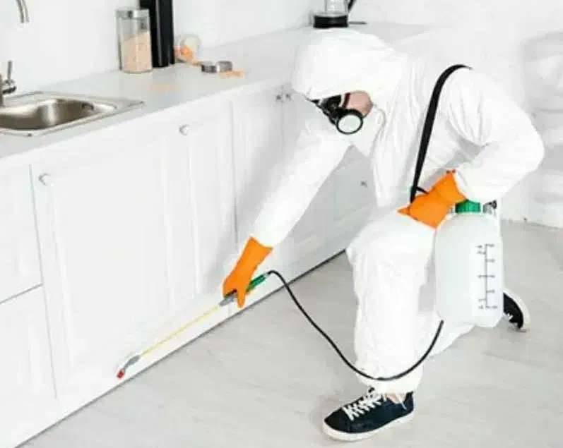 سمپاشی منزل‌ تخصصی.ادارات|خدمات نظافت|خورموج, |دیوار