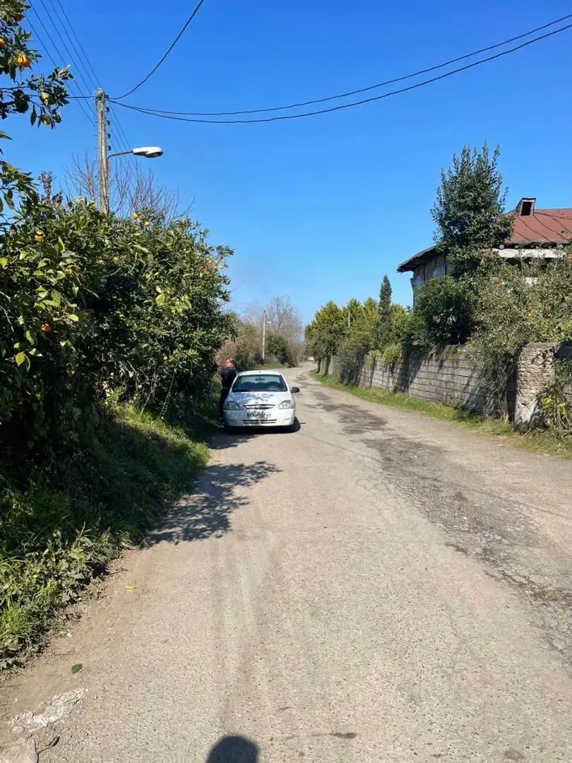 فروش زمین و کلنگی|فروش زمین و ملک کلنگی|رامسر, |دیوار