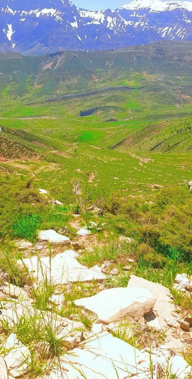 یک کارت ملی باکارت پایان خدمتم گمشد|اشیا|مسجد سلیمان, |دیوار