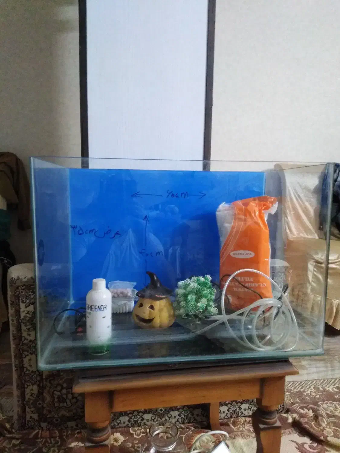 آکواریوم|ماهی|ری, دیلمان|دیوار