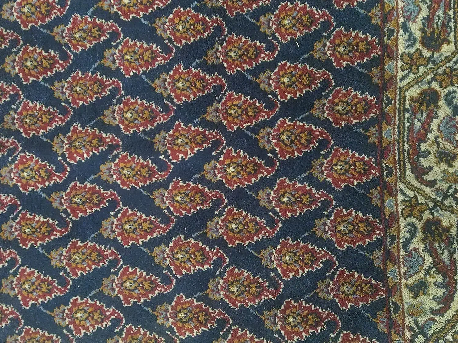 کناره فرش|فرش|بروجرد, |دیوار