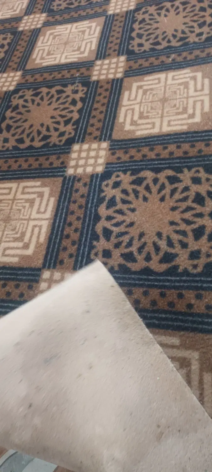 موکت|موکت|زابل, |دیوار