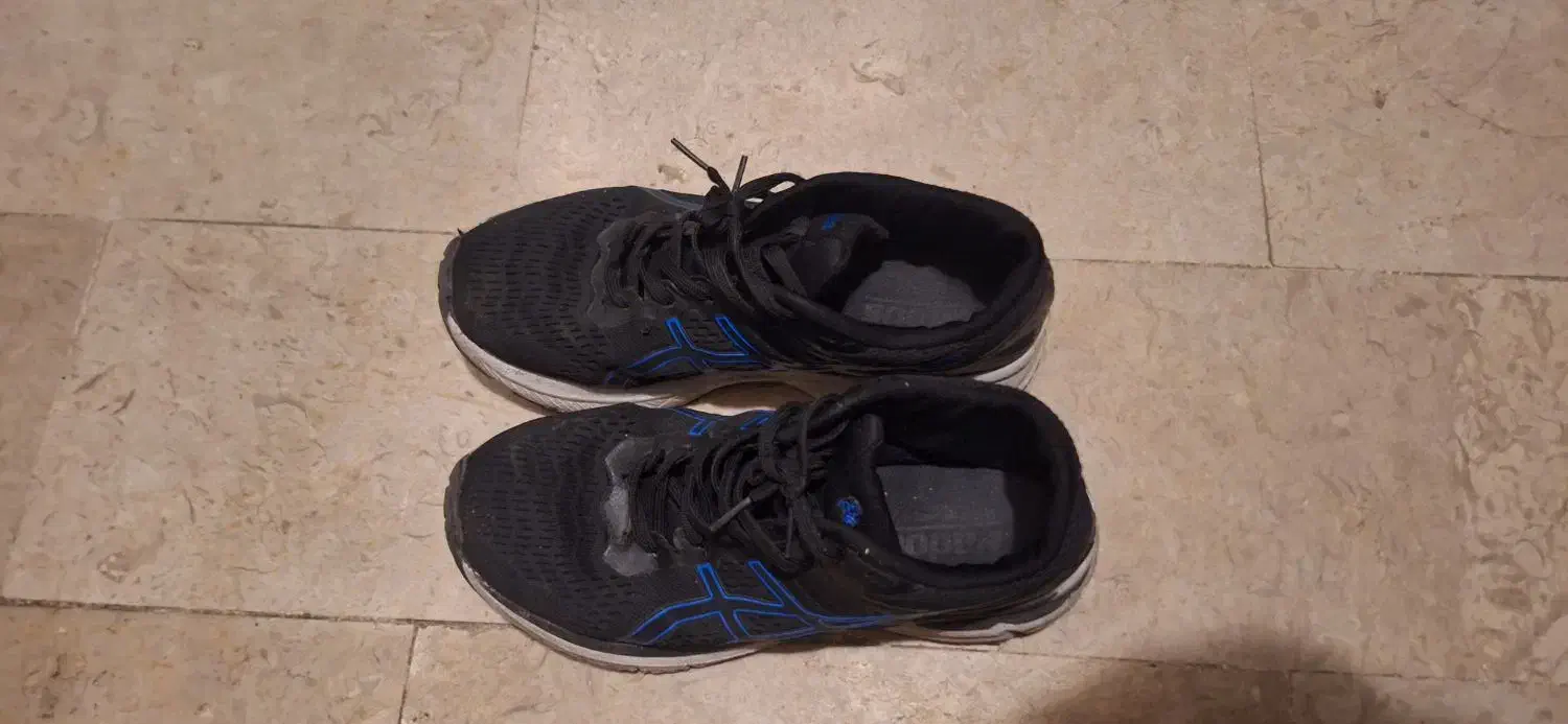 کفش|کیف، کفش، کمربند|رشت, معلم|دیوار