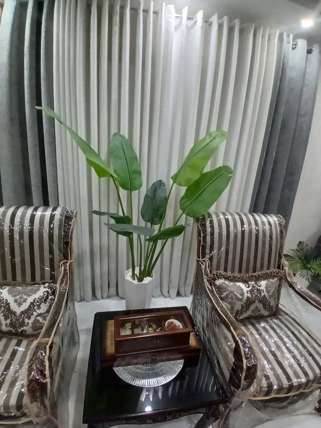 درختچه|گل مصنوعی|اهواز, نبوت|دیوار