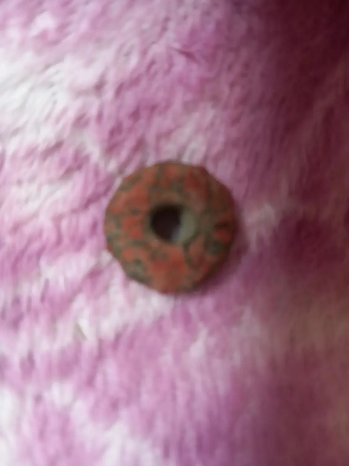 عتیقه|کلکسیون اشیاء عتیقه|اهر, |دیوار