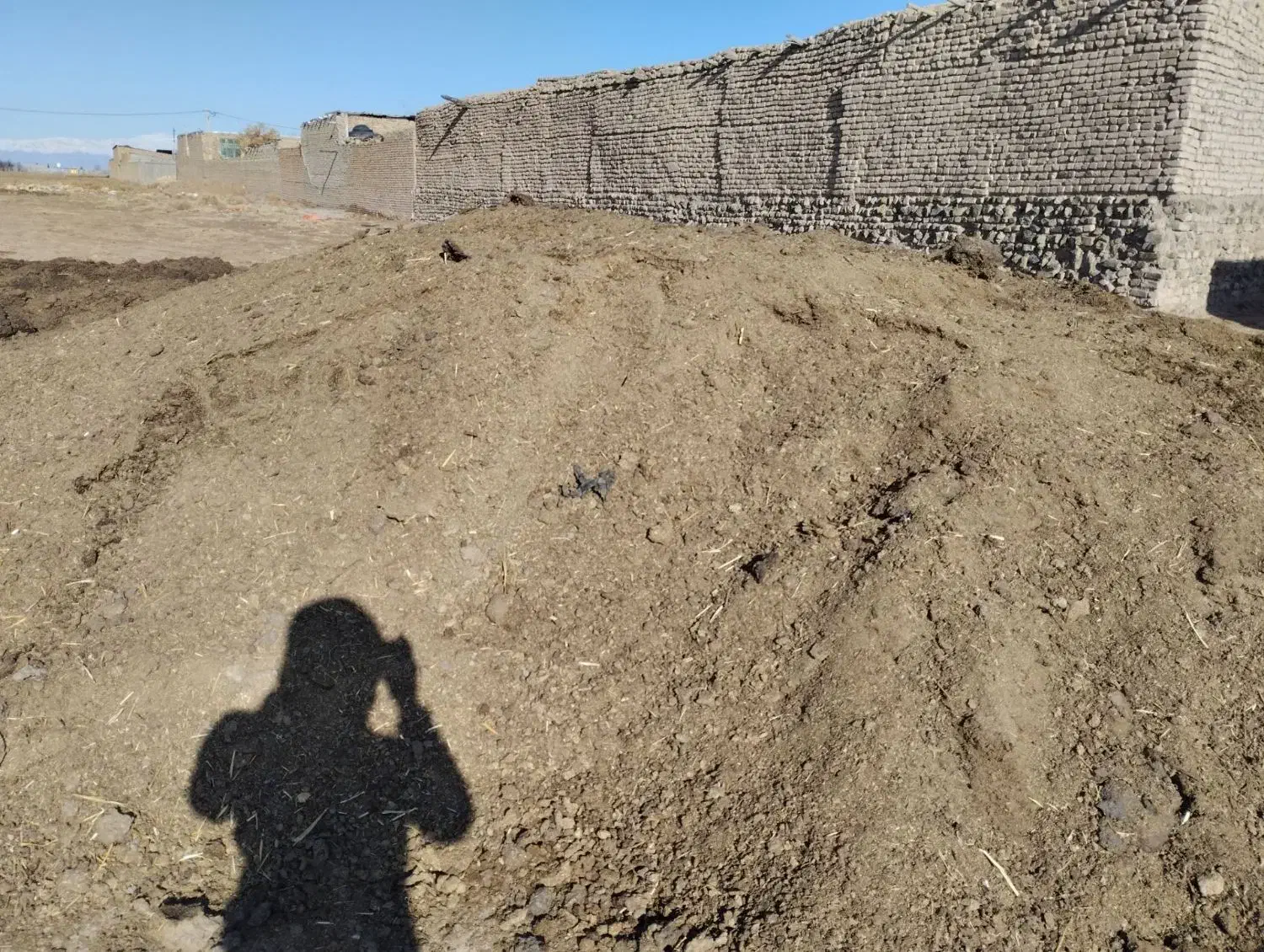 کود حیوانی|لوازم جانبی حیوانات|بوئین زهرا, |دیوار