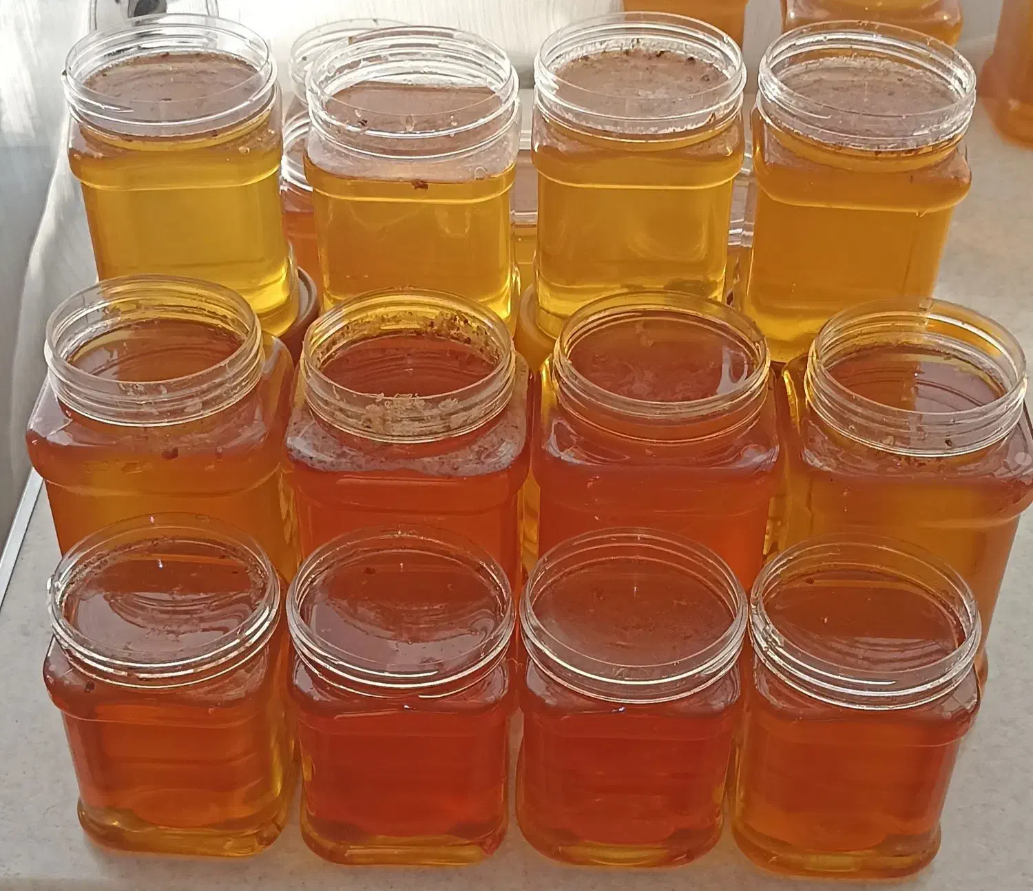 عسل|خوردنی و آشامیدنی|مشهد, مشکینی (شهرک غرب)|دیوار