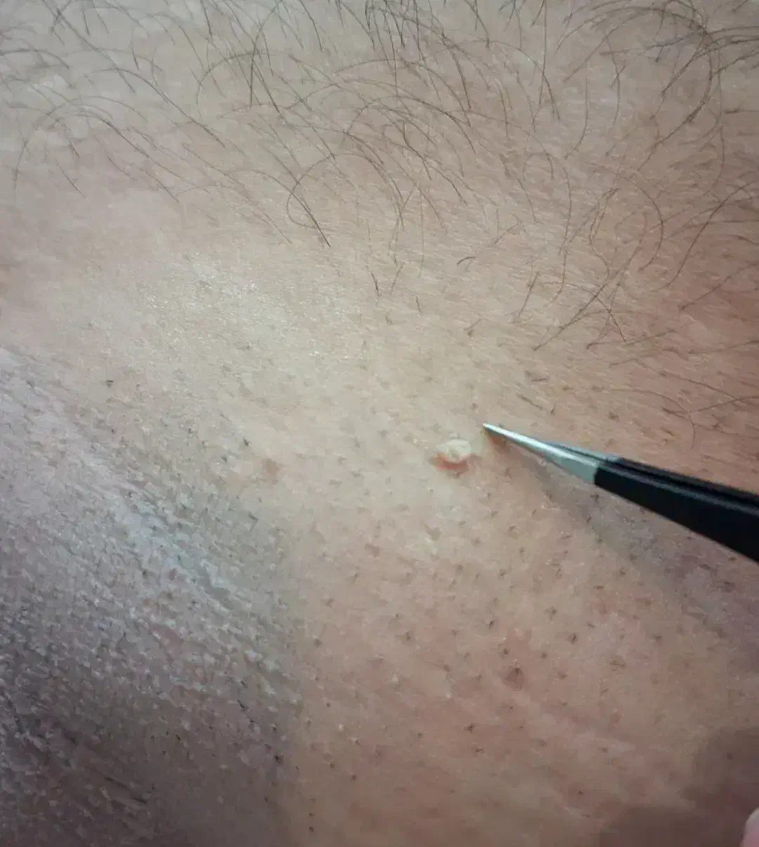 راهنمایی کنید|فعالیت داوطلبانه|شوشتر, |دیوار