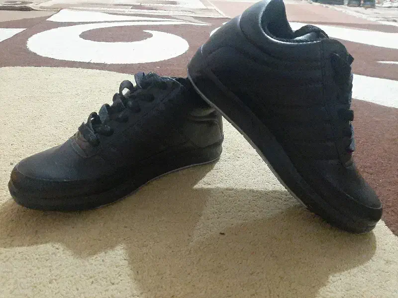 کفش|کیف، کفش، کمربند|دوگنبدان, |دیوار