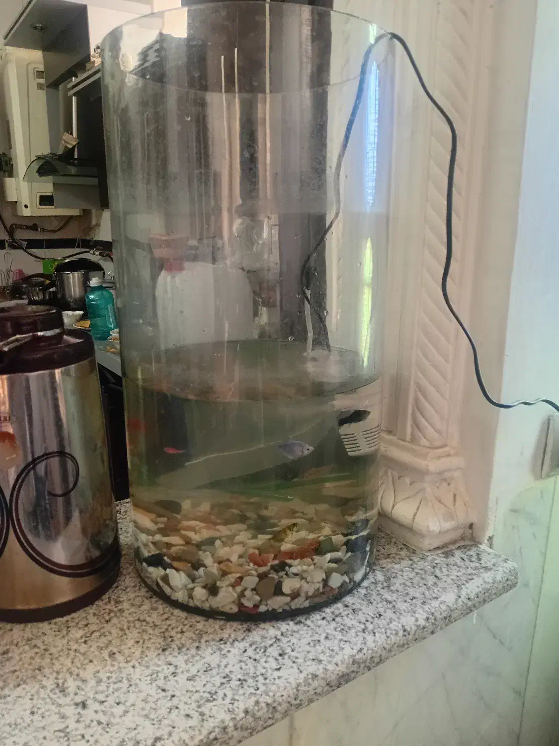 آکواریم با تجهیزات|ماهی|شیراز, تندگویان|دیوار