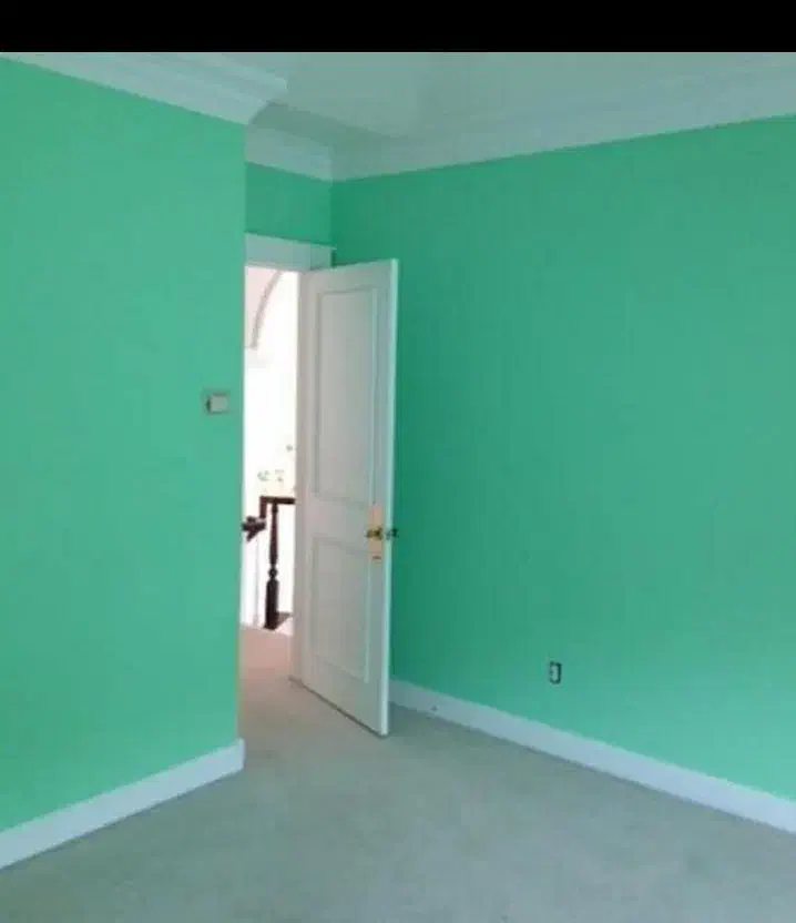 نقاشی ساختمان رنگ کاری ساختمان|خدمات پیشه و مهارت|بیرجند, |دیوار