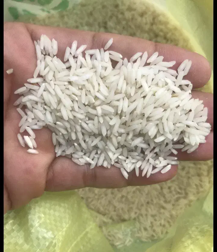 فروش برنج عنبر بو شیروانلومار|عمدهفروشی|سیروان, |دیوار