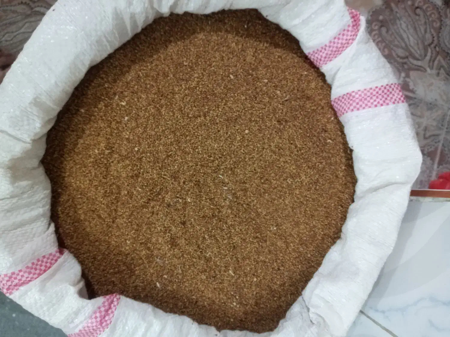 تخم یونجه|خدمات باغبانی و درختکاری|باوله, |دیوار