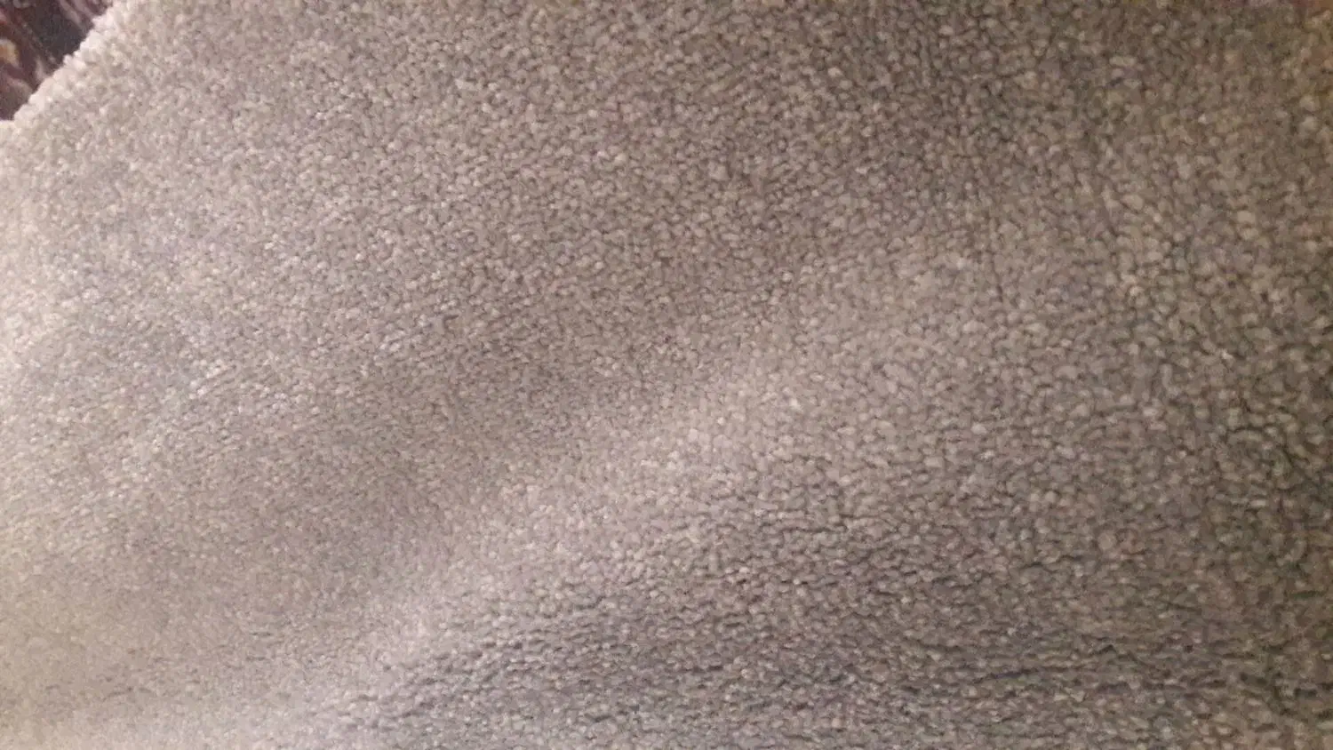 پالاز موکت رویال|موکت|رامیان, |دیوار