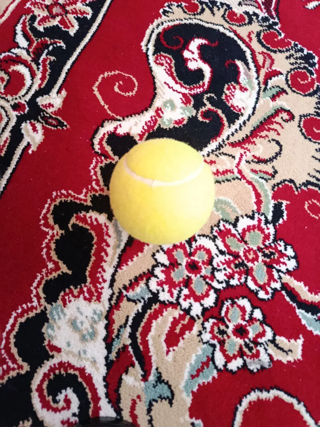 توپ تنیس|ورزش‌های توپی|بجنورد, |دیوار